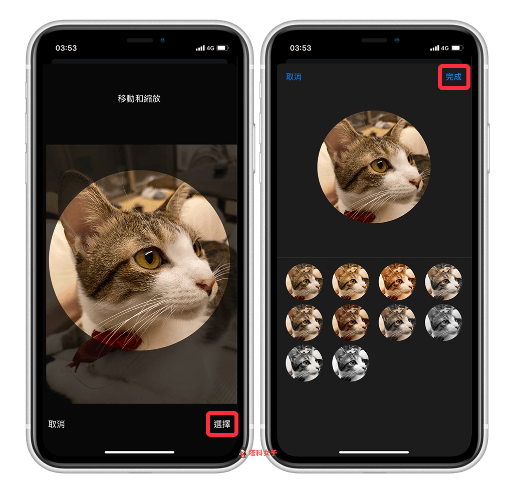 iPhone 来电画面如何设为「全屏幕联系人照片」？