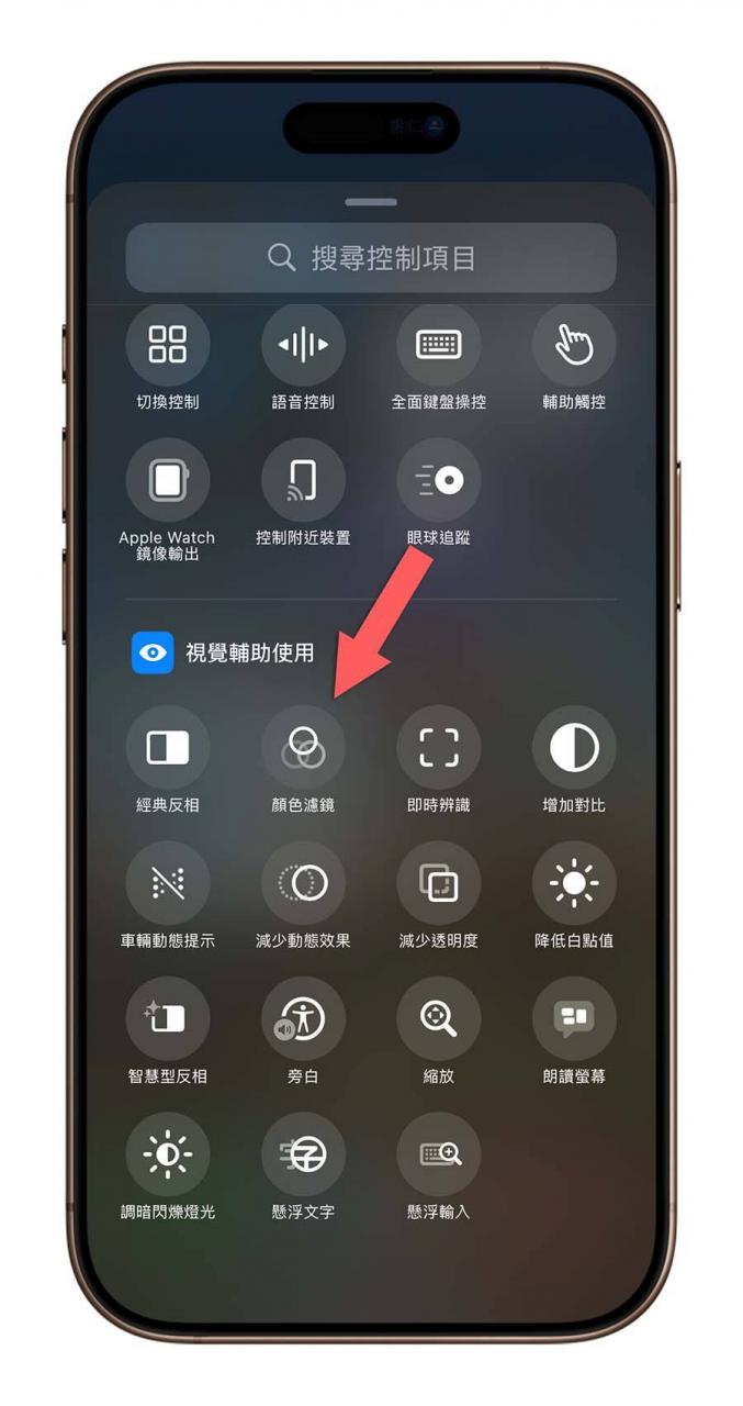 iPhone 辅助使用 颜色滤镜 触控 背面轻点