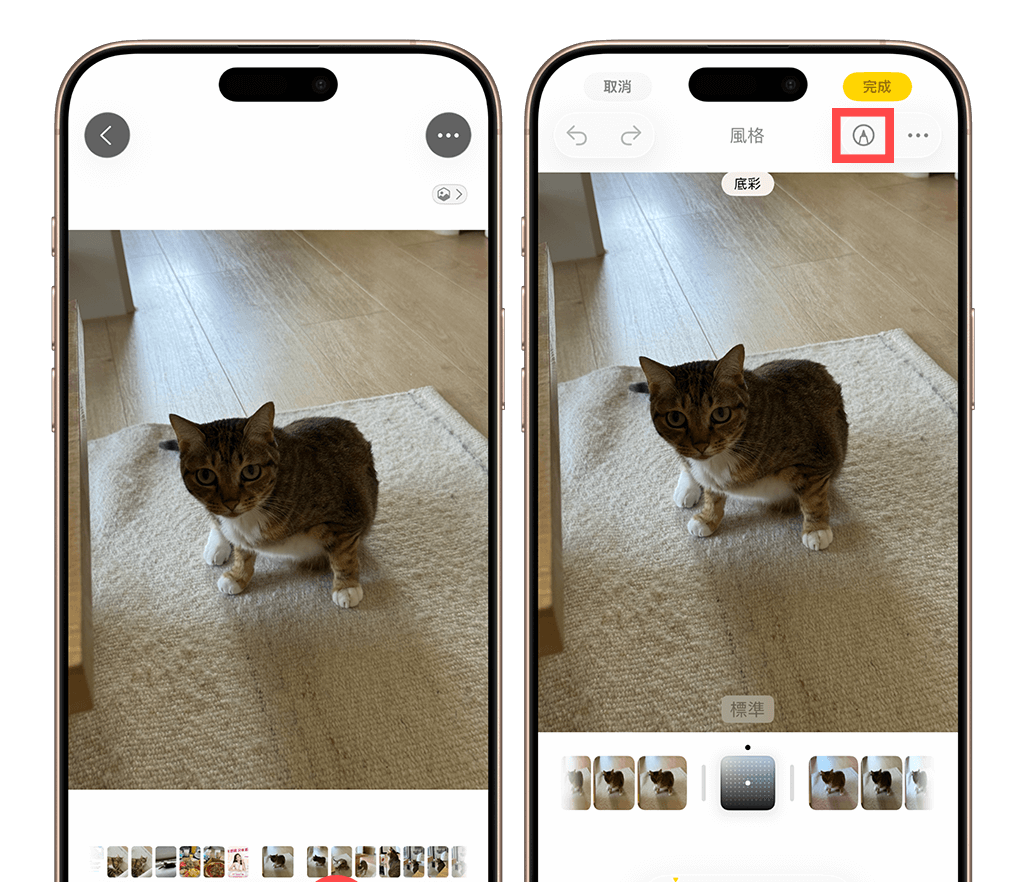 iPhone 照片放大镜回来了！ iOS26 新功能可局部放大照片